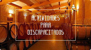 Actividades para discapacitados