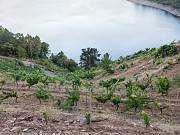 BODEGA CASTROFIZ