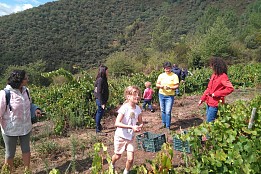 ENOTURISMO EN FAMILIA