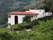 BODEGA ABADIA DA COVA