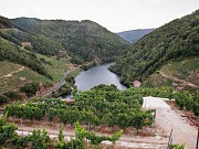 BODEGA CASTROFIZ