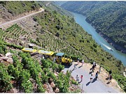 TREN ENOTURISTICO POR LA RIBEIRA SACRA