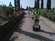 Rutas enoturísticas en Segway