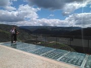 BODEGA REGINA VIARUM