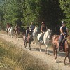 RUTAS A CABALLO POR LA RIBEIRA SACRA