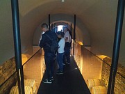 BODEGA REGINA VIARUM