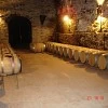 BODEGA JOAQUIN REBOLLEDO