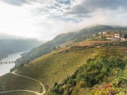 BODEGA VIA ROMANA