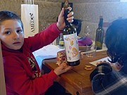 ENOTURISMO CON NIÑOS EN LA RIBEIRA SACRA