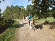 RUTAS A CABALLO POR LA RIBEIRA SACRA