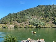 NAVEGANDO  POR LA RIBEIRA SACRA