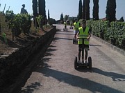 Rutas enoturísticas en Segway por el Sil