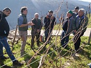 VIVE LA PODA EN LOS VIÑEDOS