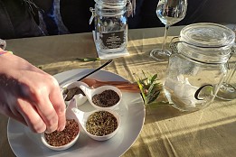 ENTRE VERMUT Y VINO DEL RIBEIRO