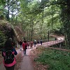 SENDERISMO EN RIBEIRA SACRA