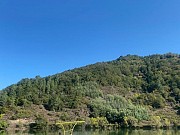 ALQUILER DE BARCO POR LA RIBEIRA SACRA