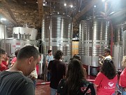 BODEGA FINCA MILLARA