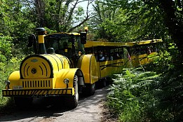 TREN ENOTURISTICO POR LA RIBEIRA SACRA