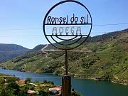 BODEGA RONSEL DO SIL