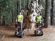 RUTAS GUIADAS EN SEGWAY POR LA RIBEIRA SACRA