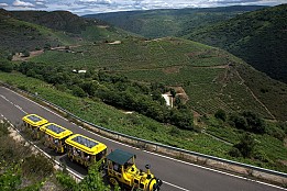 VITICULTURA HEROICA EN LA RIBEIRA SACRA