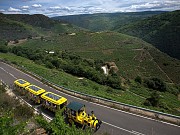 TREN ENOTURISTICO POR LA RIBEIRA SACRA