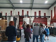 ENOTURISMO Y OLEOTURISMO