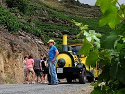 TREN ENOTURISTICO POR LA RIBEIRA SACRA