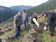 VIVE LA PODA EN LOS VIÑEDOS