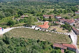 BODEGA MOREIRAS