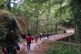 SENDERISMO EN RIBEIRA SACRA