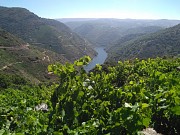 SENDERISMO EN RIBEIRA SACRA