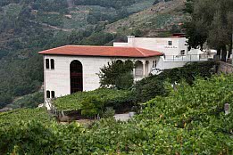 BODEGA ABADIA DA COVA