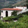 BODEGA ABADIA DA COVA