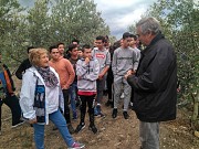 UN DIA ENTRE OLIVOS