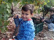 ENOTURISMO CON NIÑOS EN LA RIBEIRA SACRA