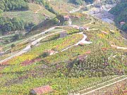 ENOTURISMO CON NIÑOS EN LA RIBEIRA SACRA