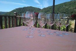 CATA DE VINOS