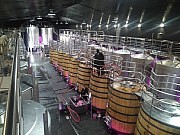 VITICULTURA HEROICA EN LA RIBEIRA SACRA
