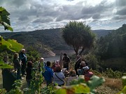 BODEGA LAREU