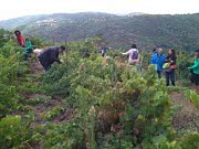 BODEGA VAL DO FRADE