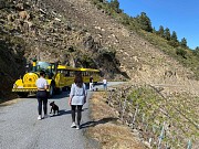 TREN ENOTURISTICO POR LA RIBEIRA SACRA