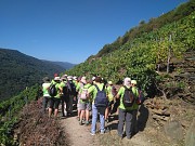 SENDERISMO EN RIBEIRA SACRA