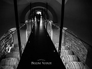 BODEGA REGINA VIARUM