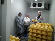 ENTRE QUESOS Y VINO