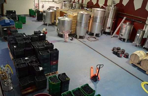 Lar de Ricobao | Bodega familiar en Quiroga