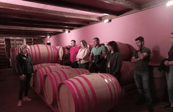 Enólogo por un día | Experiencia vitivinícola