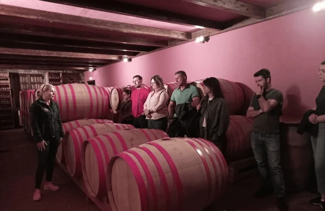Enólogo por un día | Experiencia vitivinícola