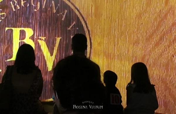 Regina Viarum | Vinos de Amandi con vistas al Sil