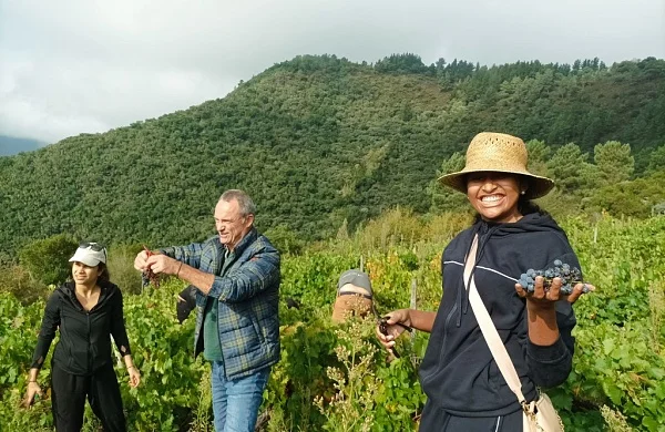 Val do Frade | Vinos de viñedos propios